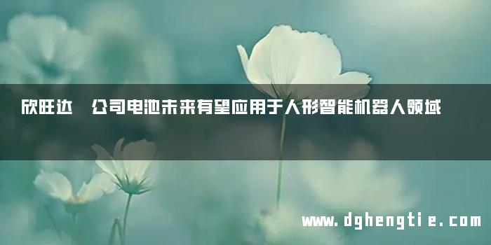 欣旺达 公司电池未来有望应用于人形智能机器人领域